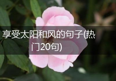 享受太阳和风的句子(热门20句)