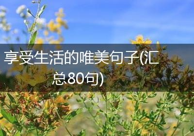 享受生活的唯美句子(汇总80句)