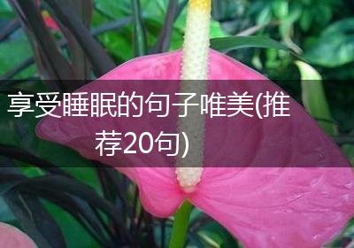 享受睡眠的句子唯美(推荐20句)