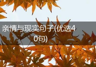 亲情与现实句子(优选40句)