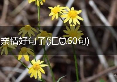 亲情好句子(汇总60句)