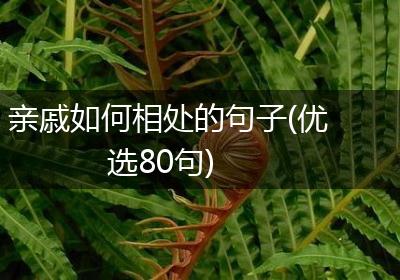 亲戚如何相处的句子(优选80句)