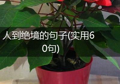 人到绝境的句子(实用60句)