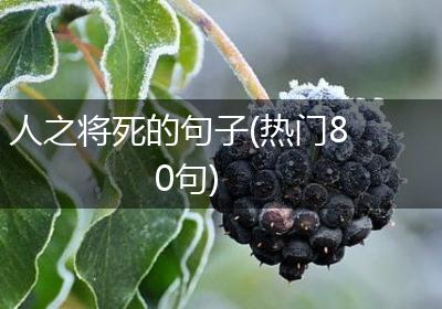 人之将死的句子(热门80句)