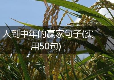 人到中年的赢家句子(实用50句)
