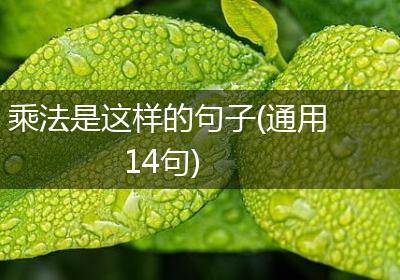 乘法是这样的句子(通用14句)