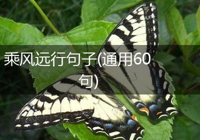 乘风远行句子(通用60句)