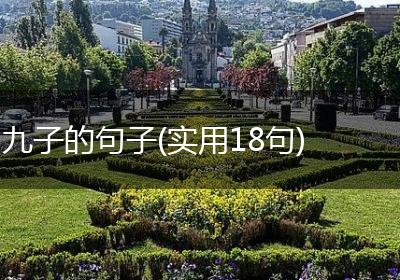 九子的句子(实用18句)