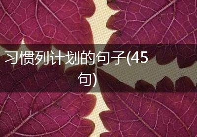 习惯列计划的句子(45句)