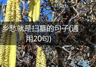 乡愁就是扫墓的句子(通用20句)