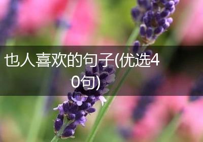 也人喜欢的句子(优选40句)
