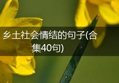 乡土社会情结的句子(合集40句)