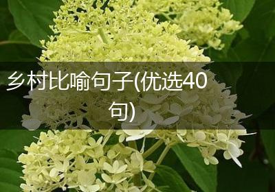 乡村比喻句子(优选40句)