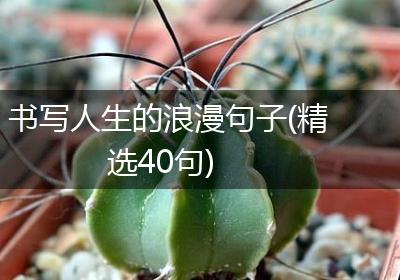 书写人生的浪漫句子(精选40句)