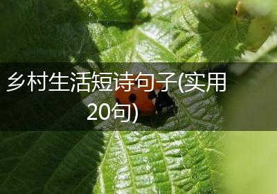 乡村生活短诗句子(实用20句)