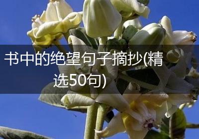 书中的绝望句子摘抄(精选50句)