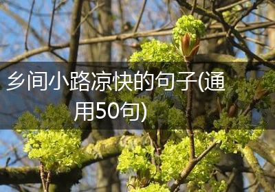 乡间小路凉快的句子(通用50句)