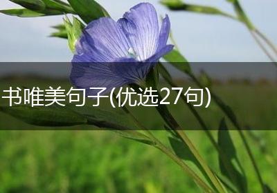 书唯美句子(优选27句)