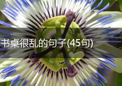 书桌很乱的句子(45句)