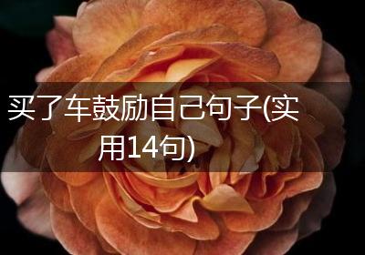 买了车鼓励自己句子(实用14句)