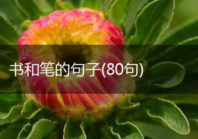 书和笔的句子(80句)