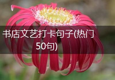书店文艺打卡句子(热门50句)