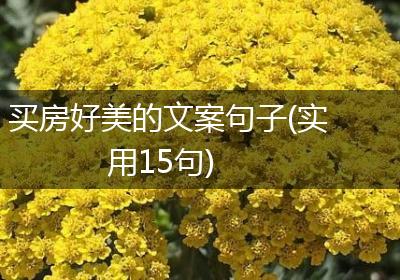 买房好美的文案句子(实用15句)