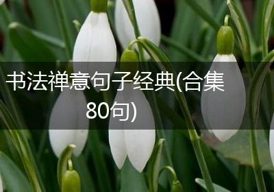 书法禅意句子经典(合集80句)