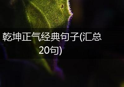乾坤正气经典句子(汇总20句)