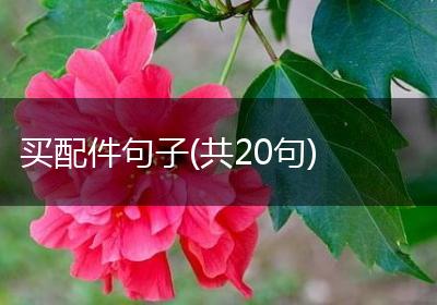 买配件句子(共20句)