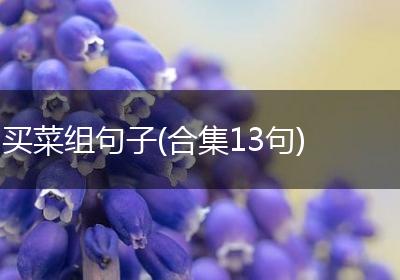买菜组句子(合集13句)