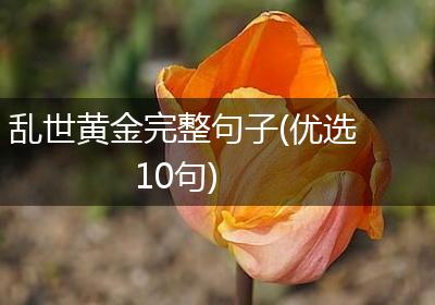 乱世黄金完整句子(优选10句)
