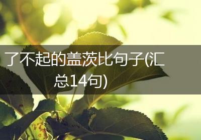 了不起的盖茨比句子(汇总14句)