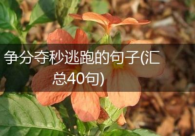 争分夺秒逃跑的句子(汇总40句)