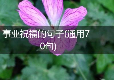 事业祝福的句子(通用70句)