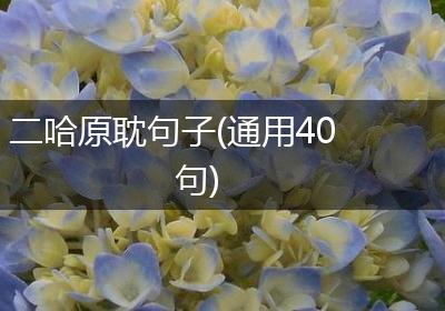 二哈原耽句子(通用40句)