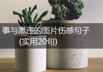 事与愿违的图片伤感句子(实用20句)