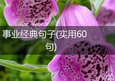 事业经典句子(实用60句)