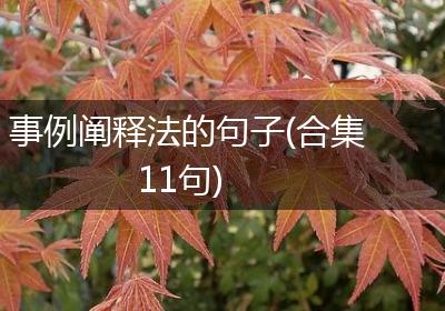 事例阐释法的句子(合集11句)