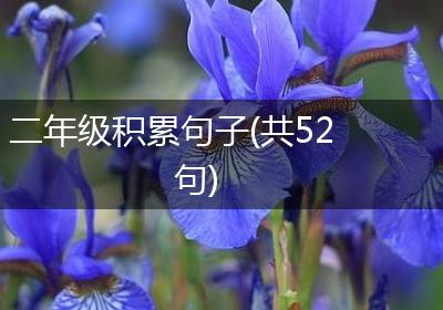二年级积累句子(共52句)