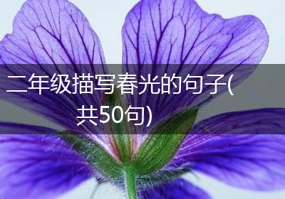 二年级描写春光的句子(共50句)