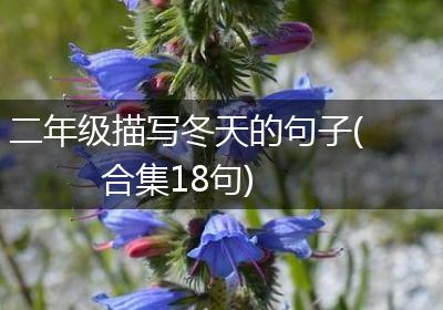二年级描写冬天的句子(合集18句)