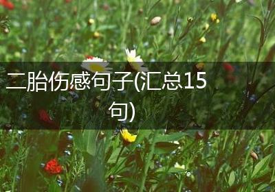 二胎伤感句子(汇总15句)
