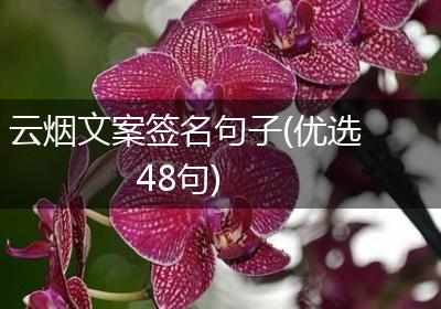 云烟文案签名句子(优选48句)