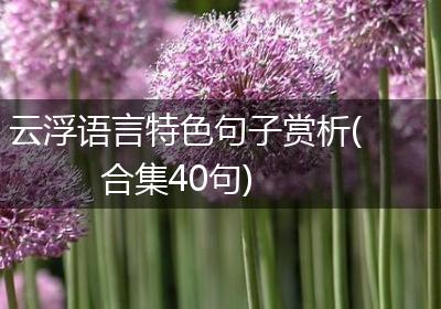 云浮语言特色句子赏析(合集40句)