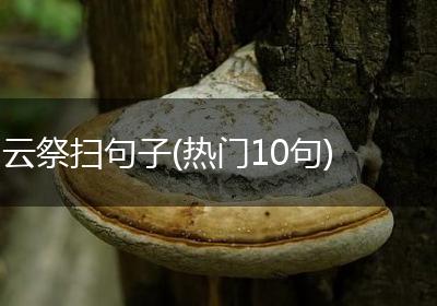 云祭扫句子(热门10句)