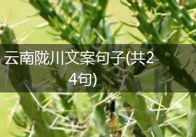 云南陇川文案句子(共24句)
