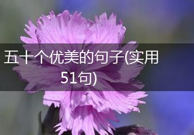 五十个优美的句子(实用51句)
