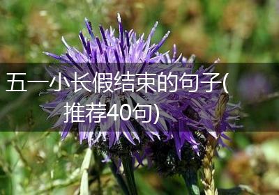 五一小长假结束的句子(推荐40句)