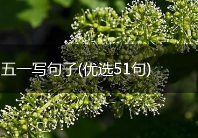 五一写句子(优选51句)